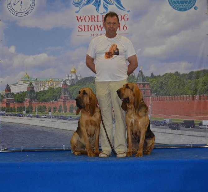 de la colline du bosc - 23.06.2016.WORLD DOG SHOW MOSCOU 2016