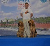  - 23.06.2016.WORLD DOG SHOW MOSCOU 2016