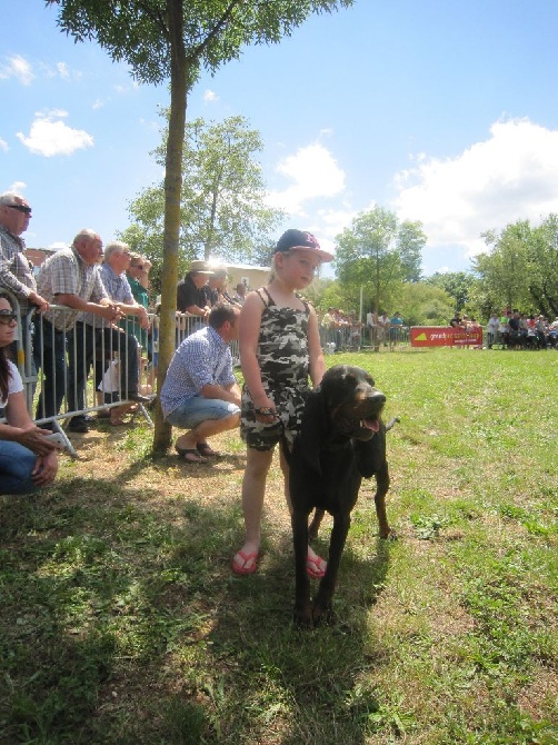 de la colline du bosc - Salon Chasse Pêche Nature Saint-Gély-du-Fesc 2016