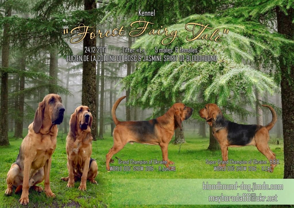 de la colline du bosc - CHIOTS EN VENTE